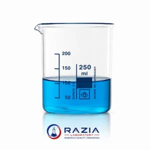 TS Glass Beaker